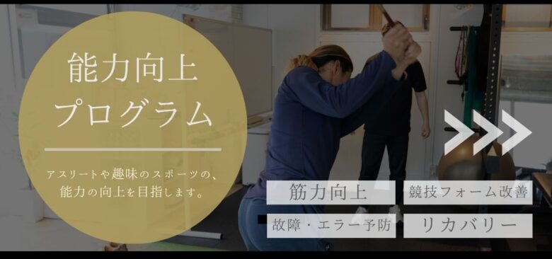 能力向上プログラム
